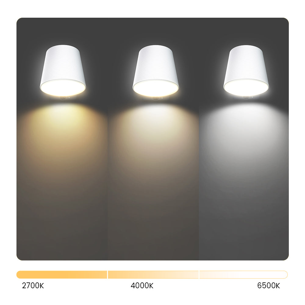 Dual Light Kit (2 Lights + Full Beam Sensor Set)